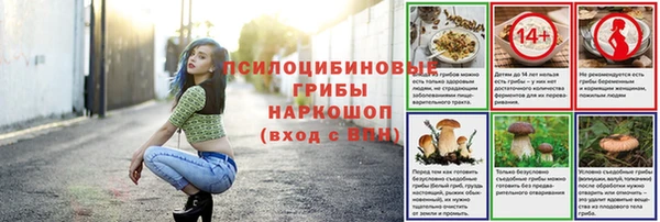 прущий лед Сосновка