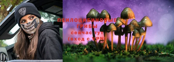 метамфетамин Алексеевка