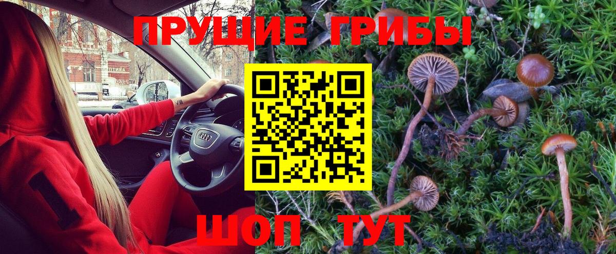 Псилоцибиновые грибы MAGIC MUSHROOMS Геленджик