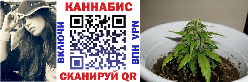 кракен зеркало Геленджик Шишки марихуана план